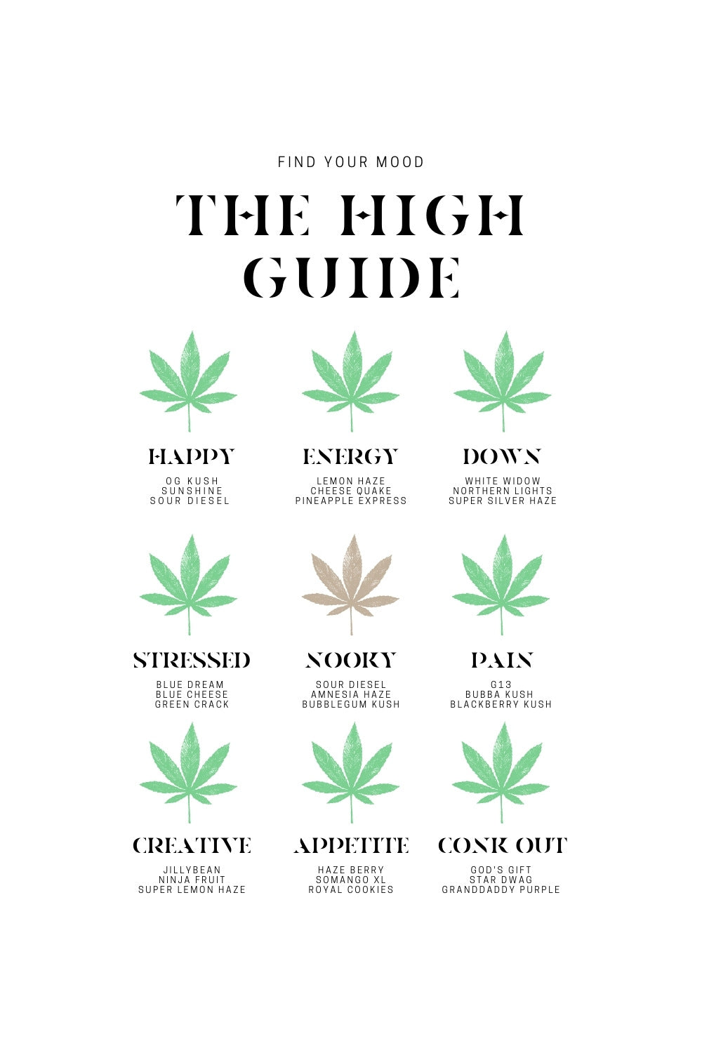 HIGH GUIDE
